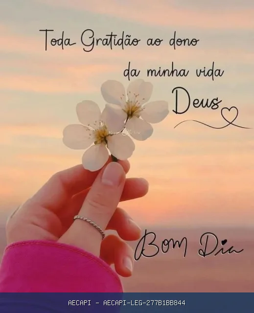 Bom Dia